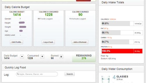 MapMyWalk Nutrition Log example