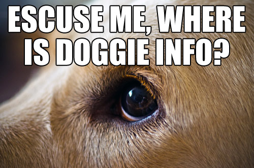 Where is doggie info on MapMyDOGWALK?
