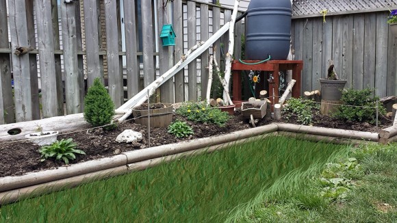 Yay, grass!