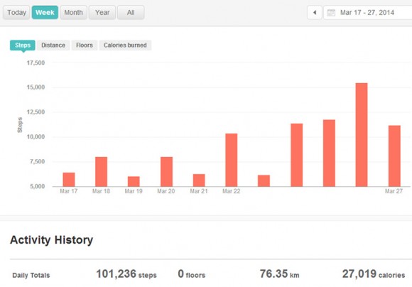 fitbit progress march 27