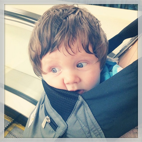Ergo Performance carrier in action